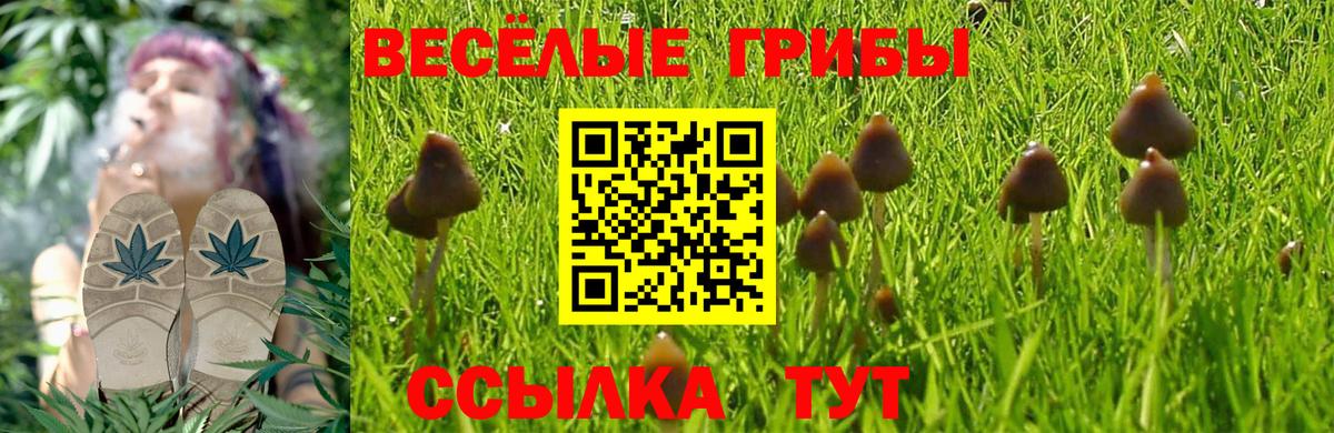 Псилоцибиновые грибы мухоморы  Вход с VPN  Саров 